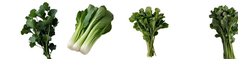 A variety of fresh green leafy vegetables are arranged neatly, highlighting their vibrant colors and different types, perfect for nutritious recipes and healthy meals isolated PNG