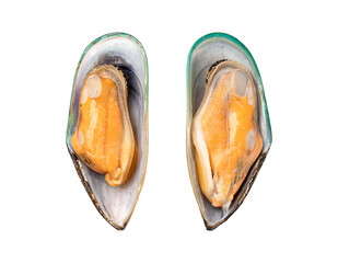 Mussels on white background. isolate