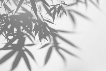 PNG Elegant bamboo leaves shadow