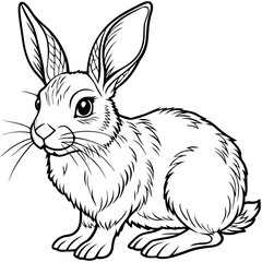 Obraz premium Rabbit