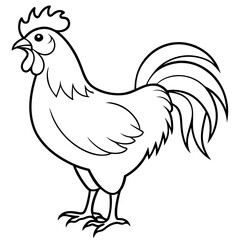 Rooster