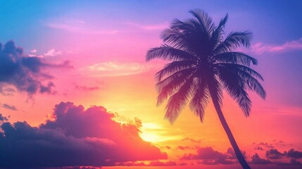 Obraz premium Sunrise silhouette of a sugar palm tree with clouds creates a beautiful color effect in the sky ideal for a copy space image 