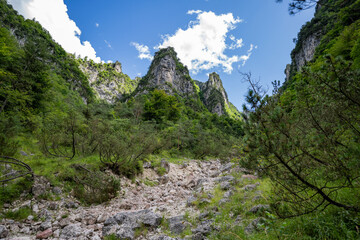 Parco delle dolomiti