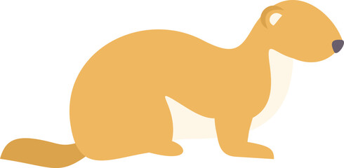Illustration of a cute ermine mustelid sitting and watching carefully with its little black eyes