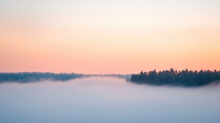 Fototapeta premium A misty morning sky with pale orange and pink hues barely visible through the light fog, creating a soft and dreamy scene