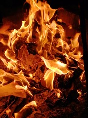 Fire burning with beautiful flames