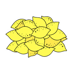 Fruit lemons, grocery shopping in the store and supermarket. Everyday shopping, farm products, natural healthy food, nutritional nutrients, buying for health, purchases for home, housekeeping, doodle