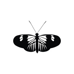Black butterfly vector design