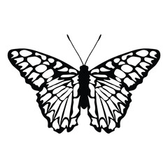 Black butterfly vector design