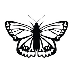 Black butterfly vector design
