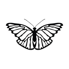 Black butterfly vector design