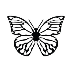 Black butterfly vector design