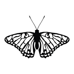 Black butterfly vector design
