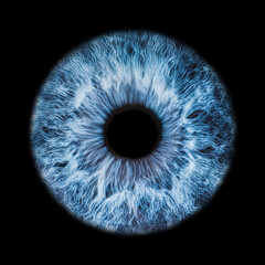 Iris Photography - Unique Singularity_32