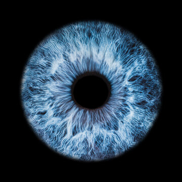 Iris Photography - Unique Singularity_32