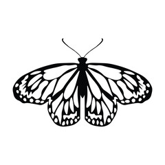 Black butterfly vector design
