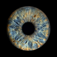 Iris Photography - Unique Singularity_23