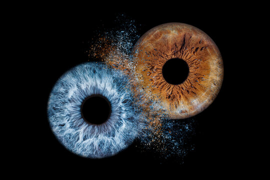 Iris Photography - Unique Duality_4