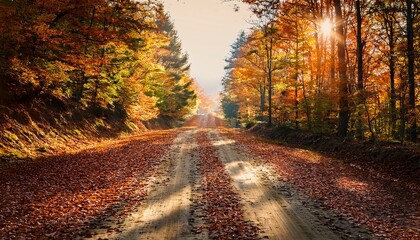 Fototapeta premium Camino en un bosque otoñal con hojas en el camino