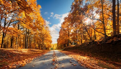 Fototapeta premium Camino en un bosque otoñal con hojas en el camino