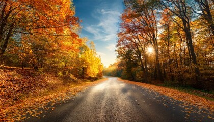 Camino en un bosque oto&ntilde;al con hojas en el camino