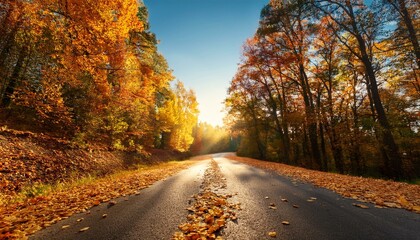 Obraz premium Camino en un bosque otoñal con hojas en el camino