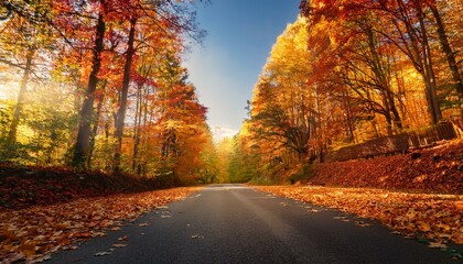 Camino en un bosque oto&ntilde;al con hojas en el camino
