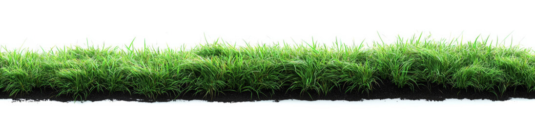 Seamless of Seamless Lush Green Grass Carpet Covering the Ground in Natural Environment