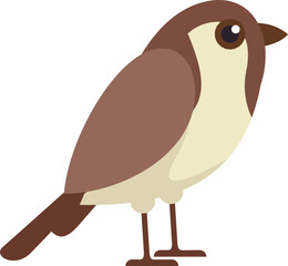 Simple cartoon style illustration of a common brown and beige bird standing in profile