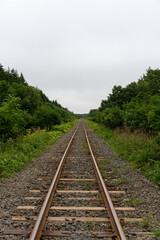 Fototapeta premium railway in the forest