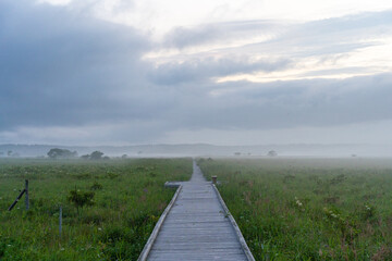 Obraz premium Kiritappu wetland in Hokkaido, Japan