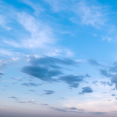 Art summer background