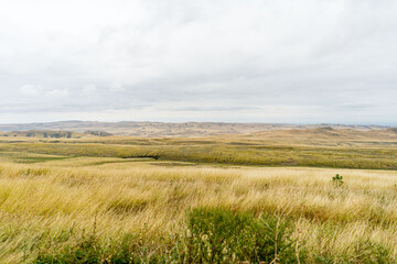 Vast Grassland Landscape in Georgia