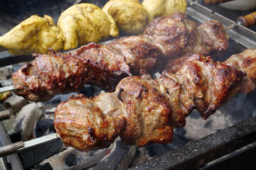 Shish kebabs broils in barbecue. Delicious hot kebabs. Meat are cooked