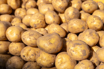 Young fresh potatoes on a bazaar counter