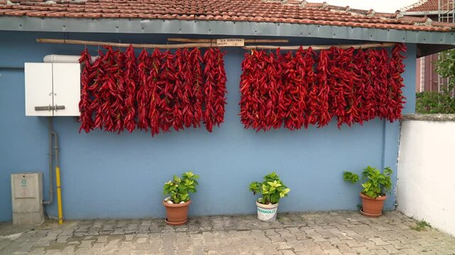 rying chillies hanging on the wall general.