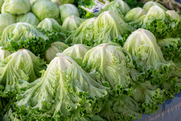 Fresh green lettuce heads arranged in a market display during early morning hours