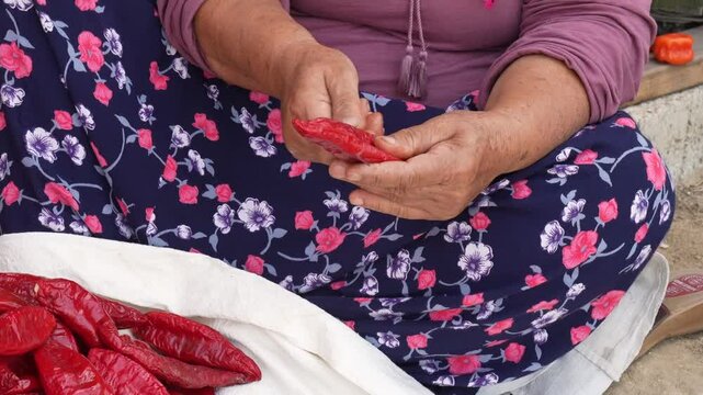 Cutting red pepper for drying.