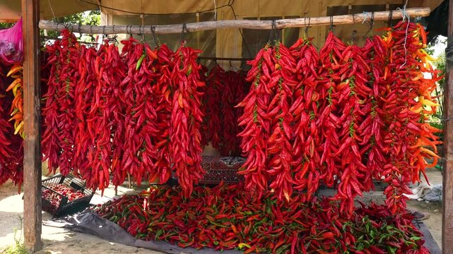 tringed peppers ready for drying