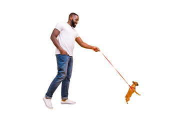 Full size photo of dark skin guy walking park with little dog in collar wear casual outfit isolated yellow background