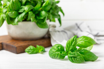 Green basil leaves on a textured wooden background. Kitchen herbs, spices. Fresh green organic basil. Vegan. Greens for salad. Place for text. Copy space.