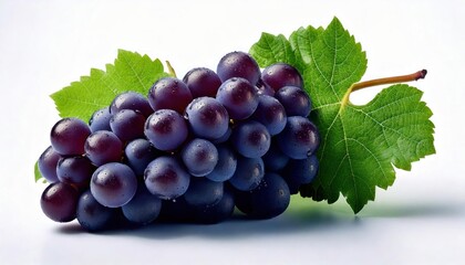 Leafy Dark Grape Cluster