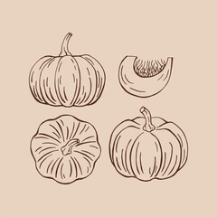 Set of pumpkin. Hand drawn vector illustration.