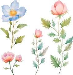 Fototapeta premium seamless pattern with pink flowers