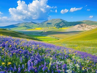 Fototapeta premium Vibrant Wildflower Fields Under Blue Skies