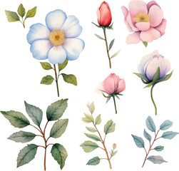 set of flowers