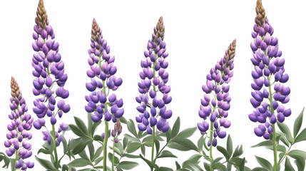 Fototapeta premium Blue iris flowers blooming in a vibrant spring garden, showcasing their beautiful lavender and violet hues amidst a lush field of flora