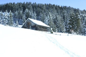 Wooden Building covered in Snow