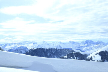 landscape in the mountains