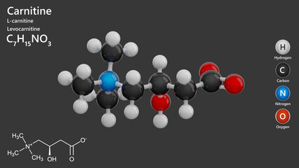 Molecule: Carnitine. Dietary supplement. Molecular structure. Formula: C7H15NO3. Chemical model: Ball and stick. Gray background. 3D illustration.